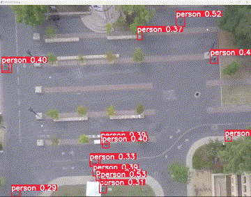 Pedestrian Recognition