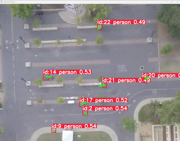 Pedestrian Following